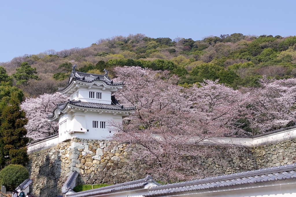 龍野城址