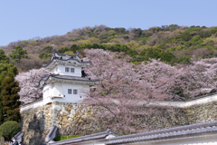 龍野城址