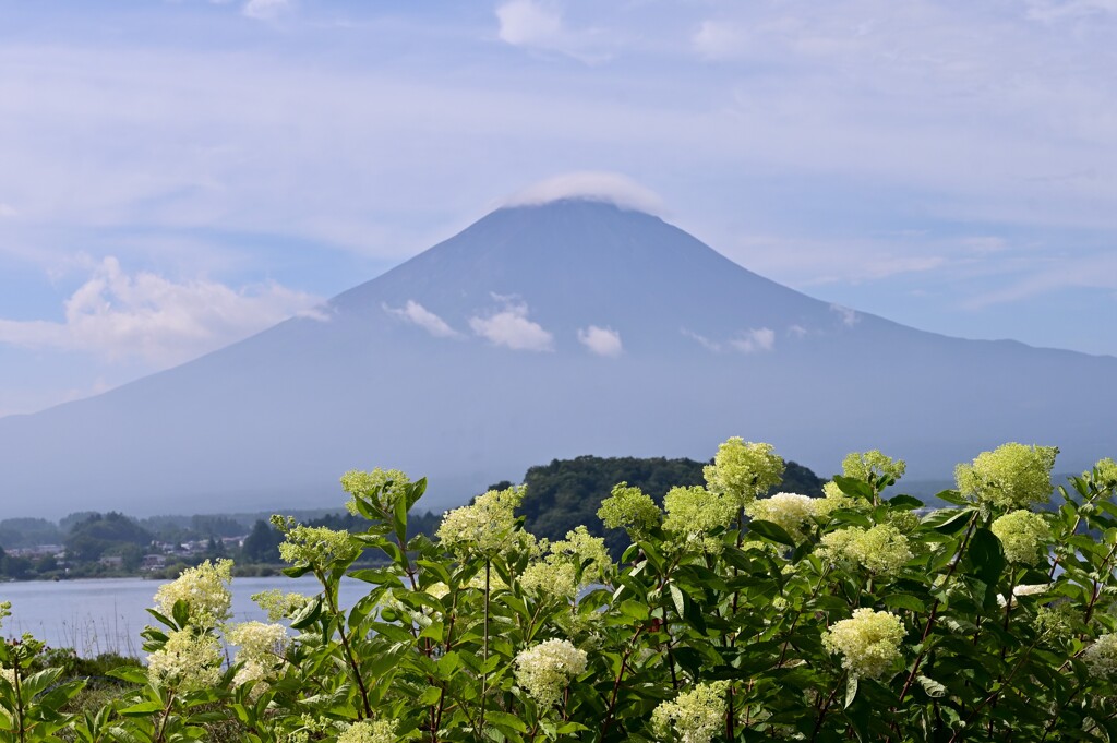 湖畔からの富士２