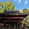 秋本番