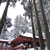 謹賀新年　雪の延暦寺
