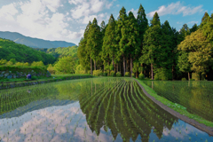 山麓の田園風景