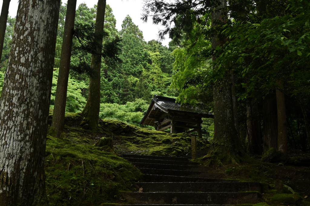 雨の来迎院　鐘楼