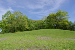 新緑の公園