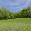 新緑の公園