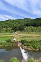 山里の情景１