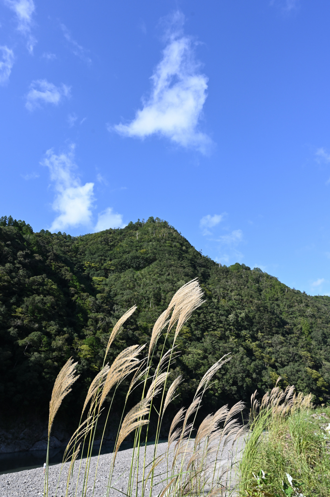 秋の十津川村