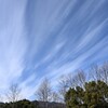 すじ雲１