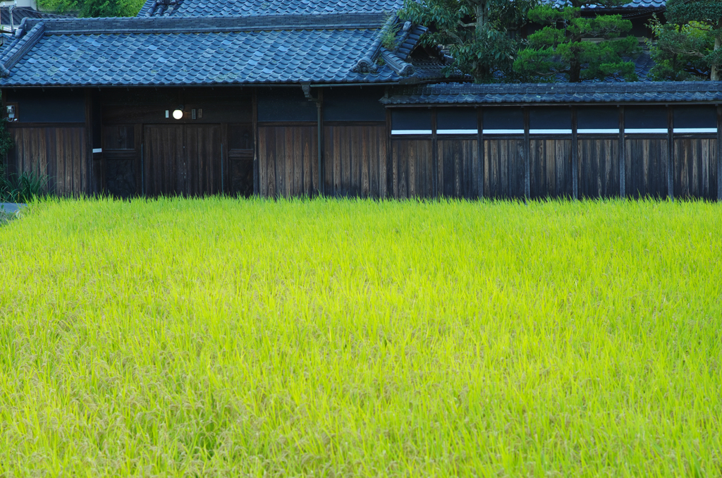 山の辺の道　２