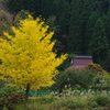 秋彩の山里　　