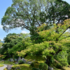 醍醐寺三宝院庭園１