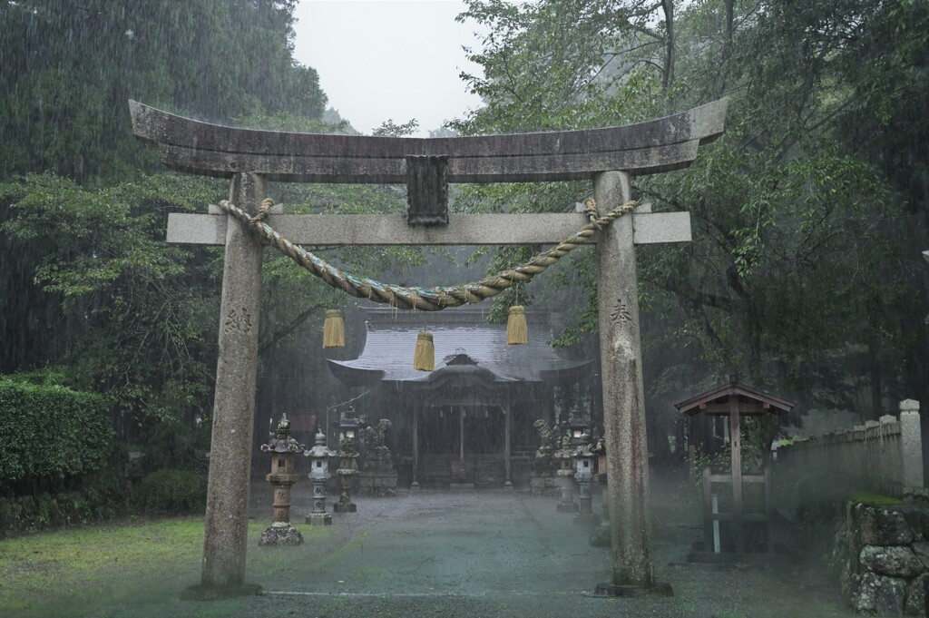大雨　神社１
