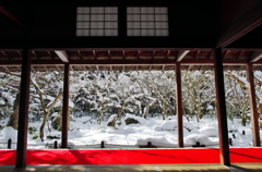 雪の圓光寺