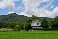 田舎な風景