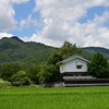 田舎な風景