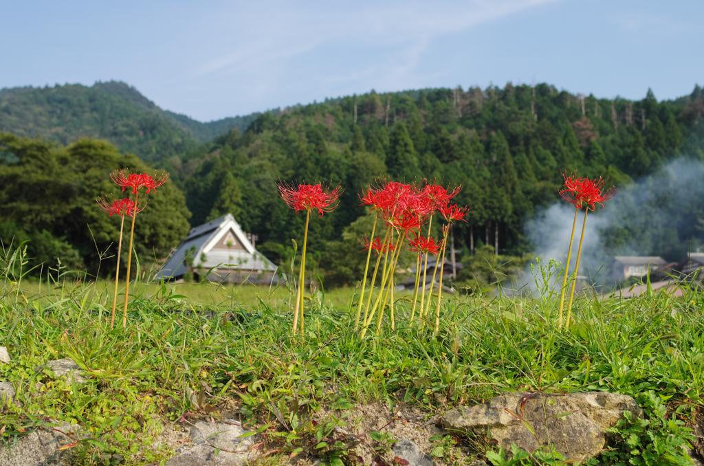 里の秋