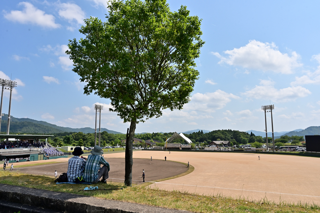 真夏の野球観戦１