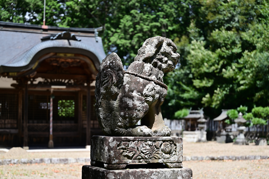 猛暑の神社１