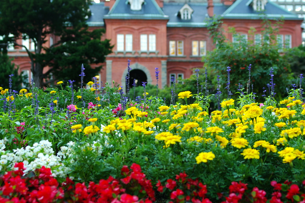 花の赤レンガ庁舎