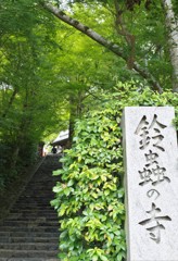 鈴蟲の寺　参道