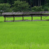 田園　