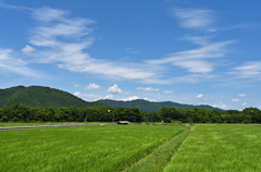 夏空　丹波路