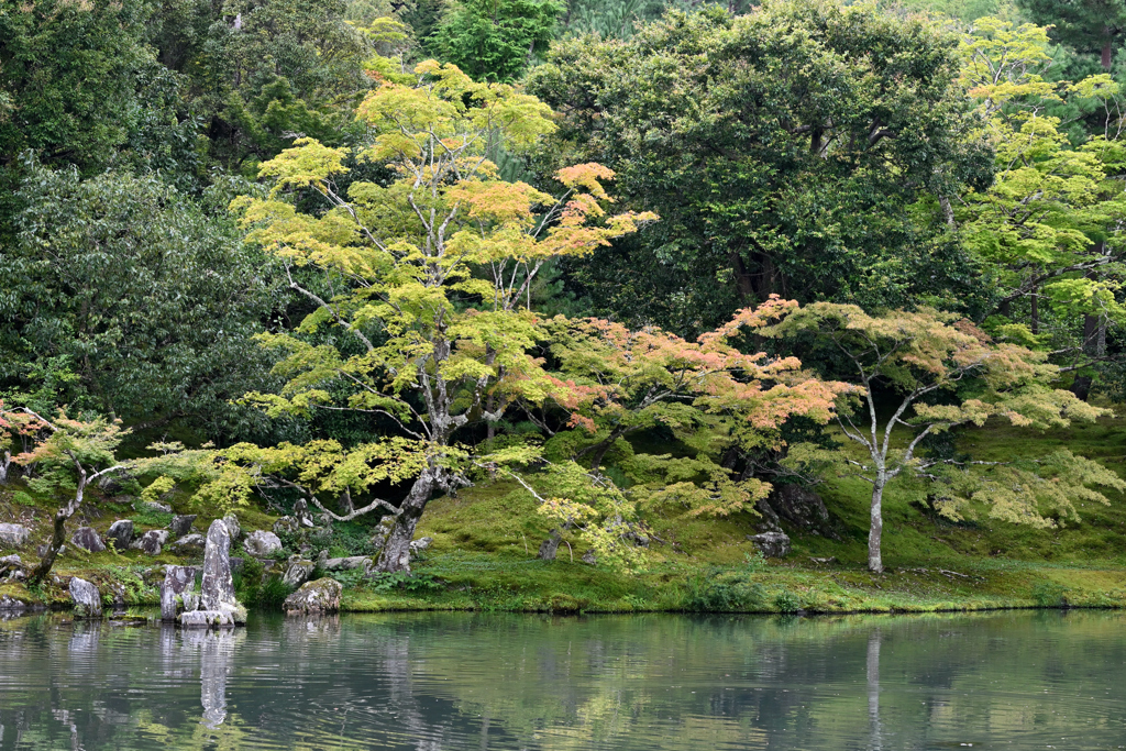 曹源池庭園