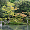 曹源池庭園