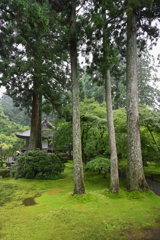 雨の有清園