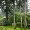 雨の有清園