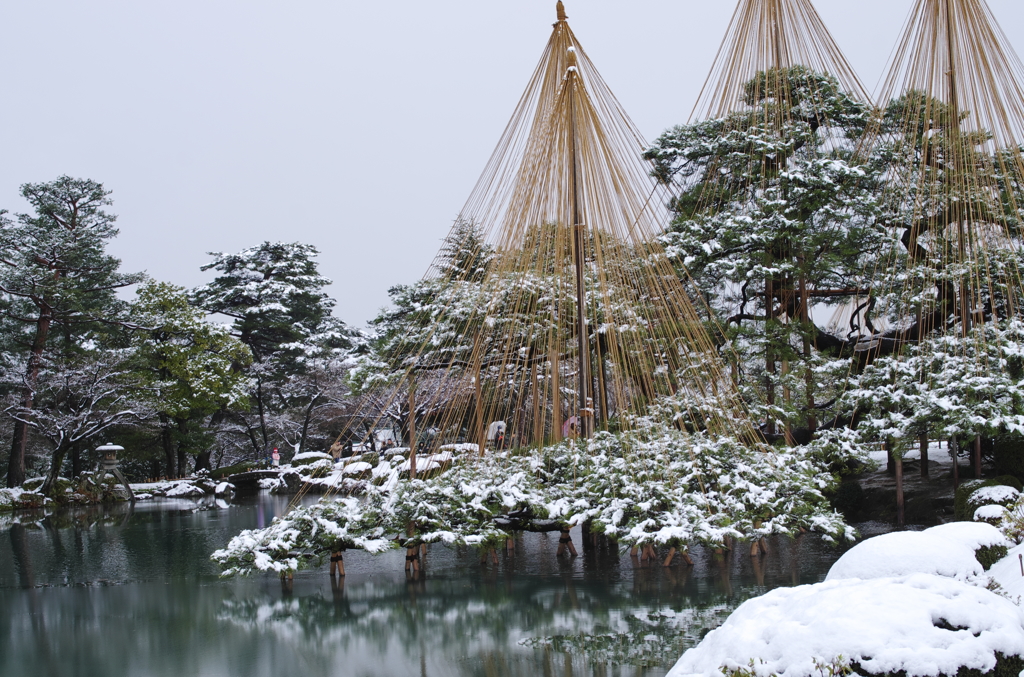 雪の兼六園　唐崎松