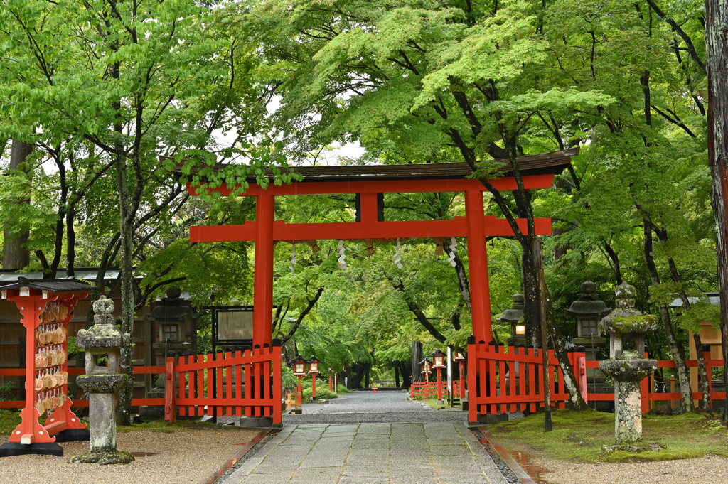 雨の参道２