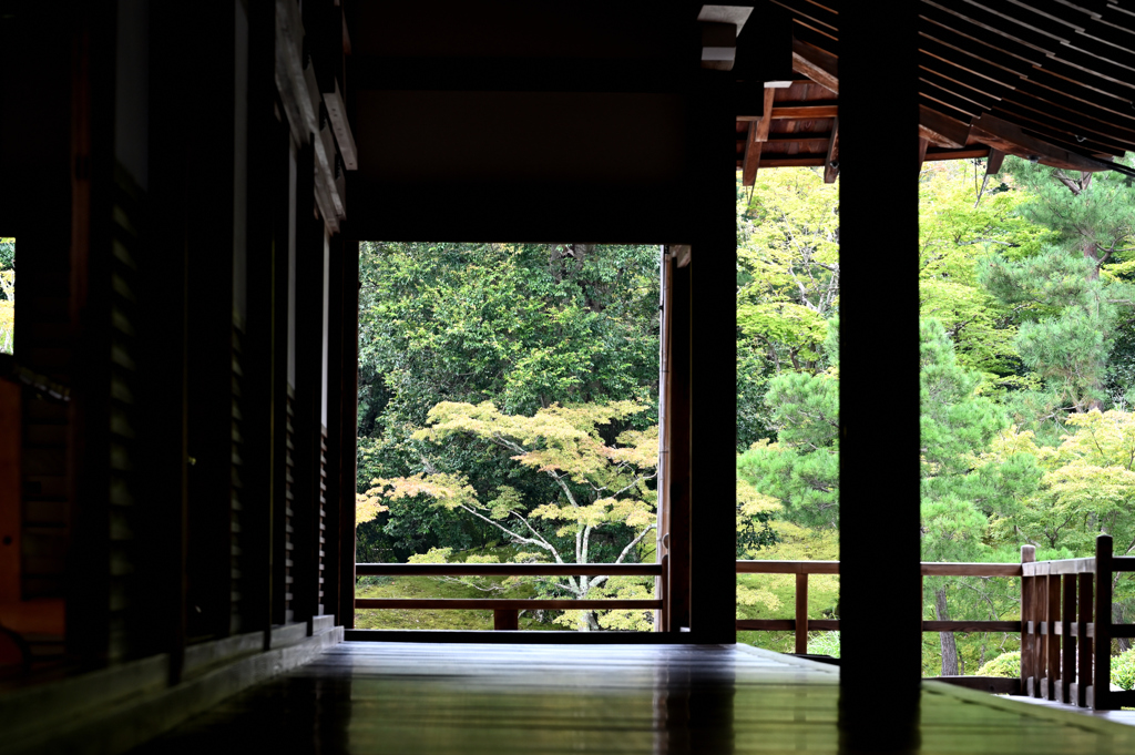 天龍寺　大方丈と曹源池庭園