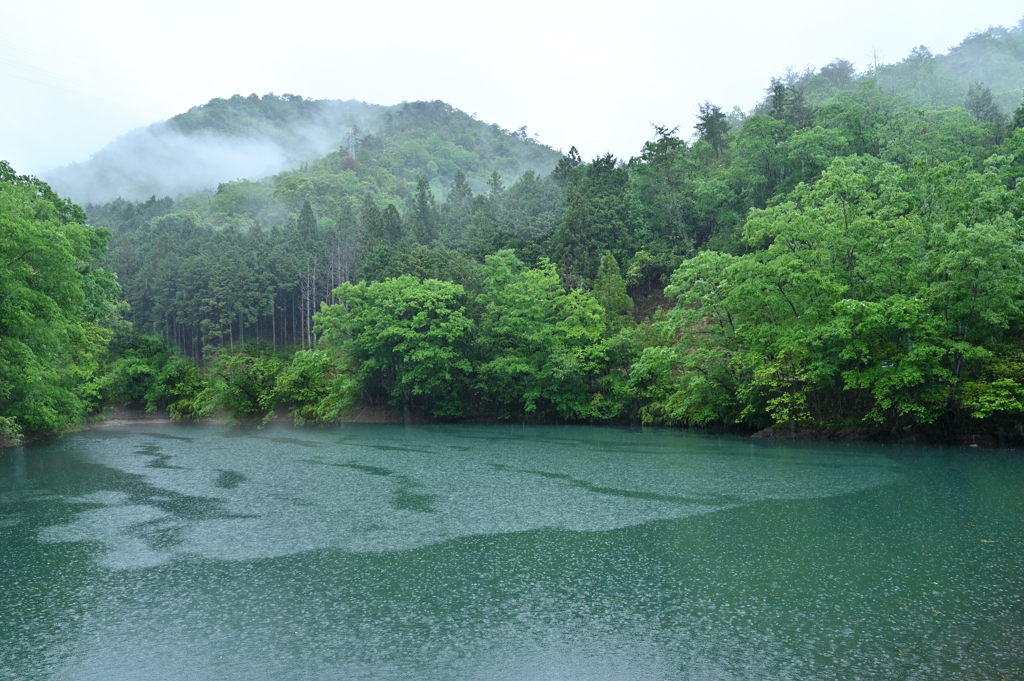 雨の奥池1　