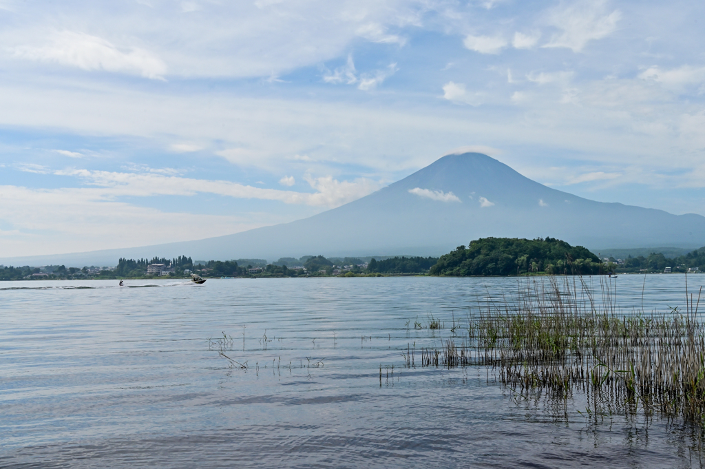 湖畔からの富士１