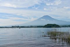 湖畔からの富士１