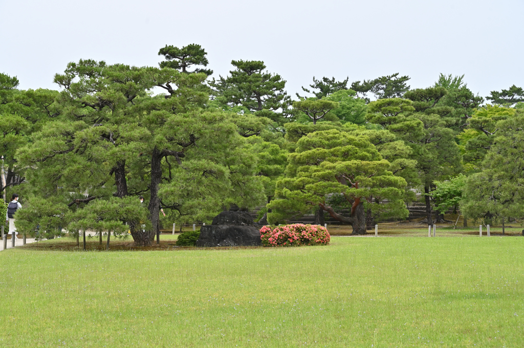 本丸庭園