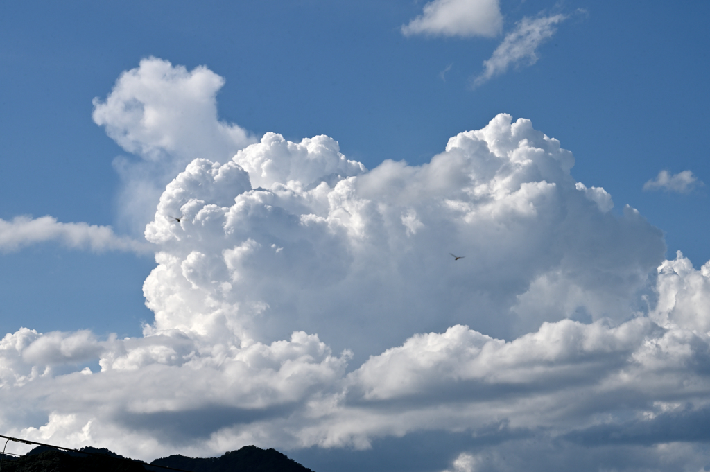 夏雲とトンボ