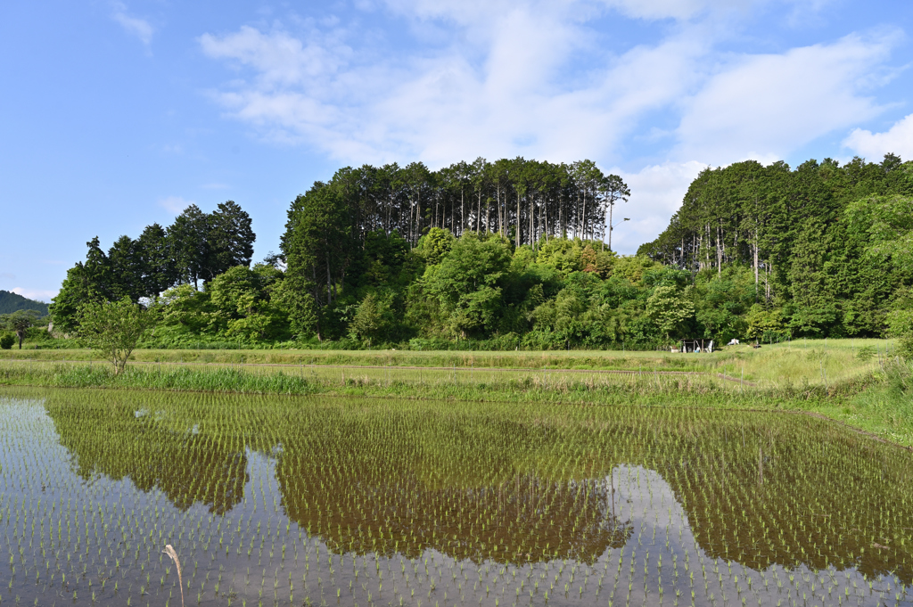 水田after
