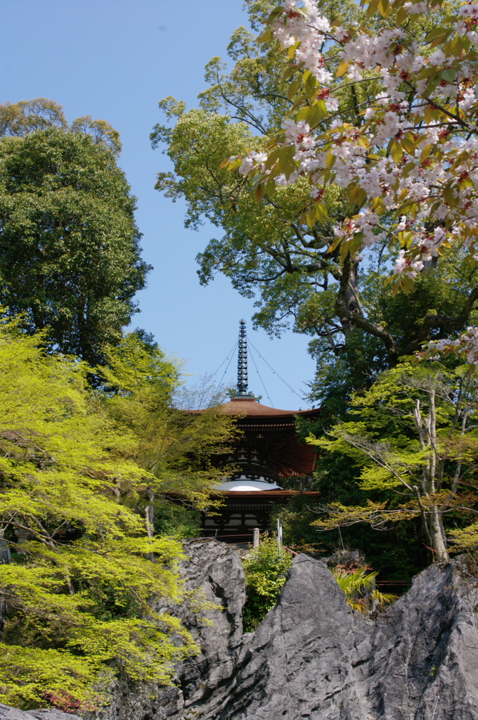 石山寺　春の陽気