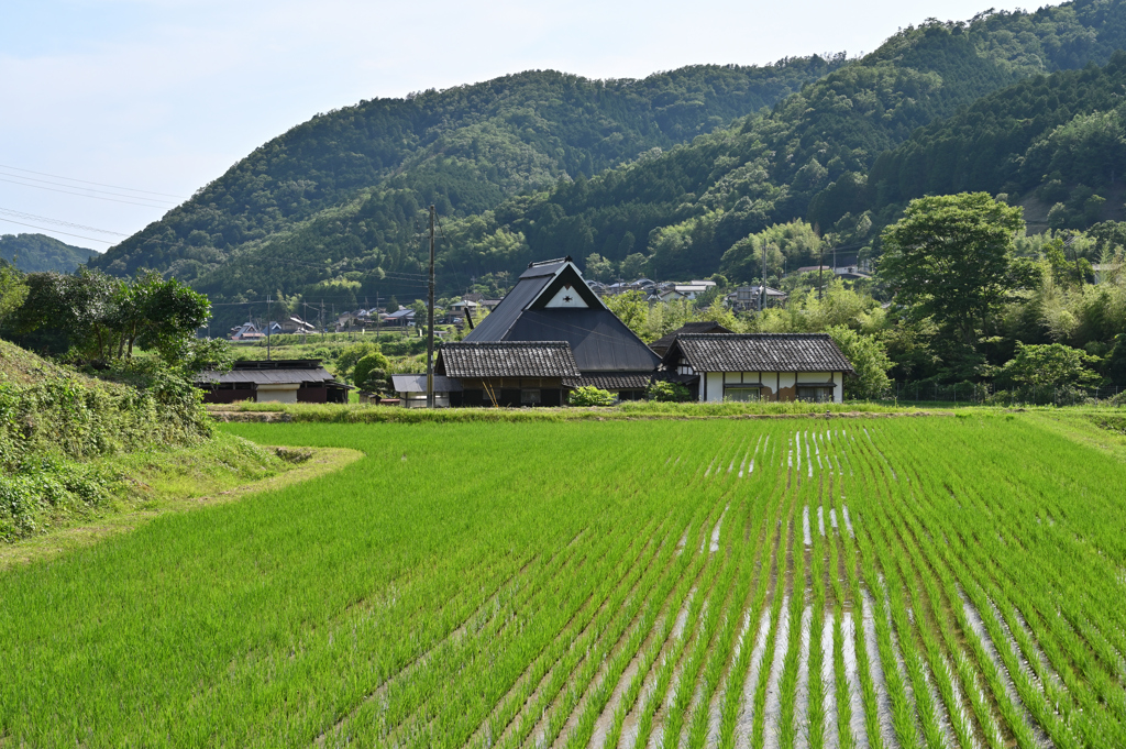 山里の情景２