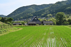 山里の情景２