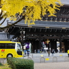 秋色の東本願寺