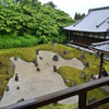 小雨の波心庭　俯瞰