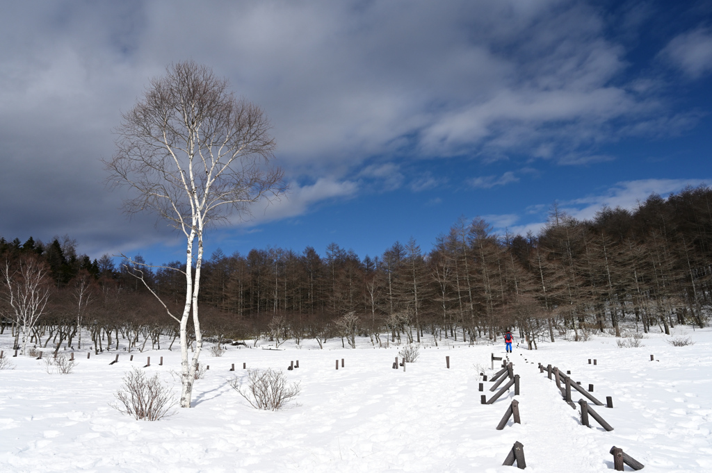 雪山トレッキング