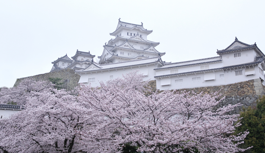 春雨の白鷺城２