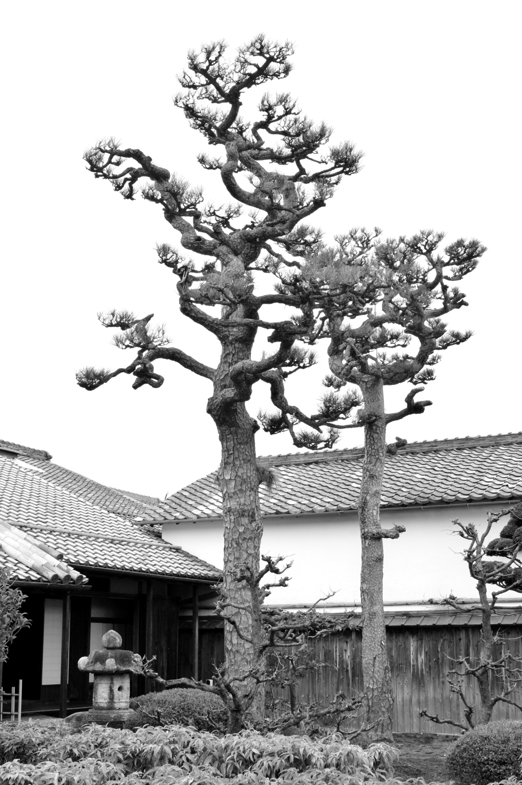 旧西川家住宅１