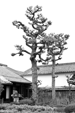 旧西川家住宅１