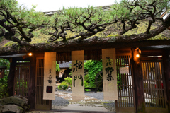 小雨の大原三千院・参道　志野松門