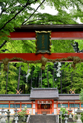 雨の大原野神社 神殿